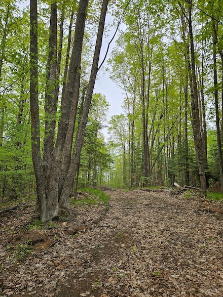 ON Cth T, Wabeno, WI 54566