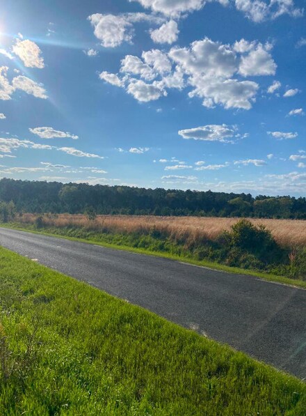 Tbd 2.10 Mount Calvary Rd, Trenton, SC 29847