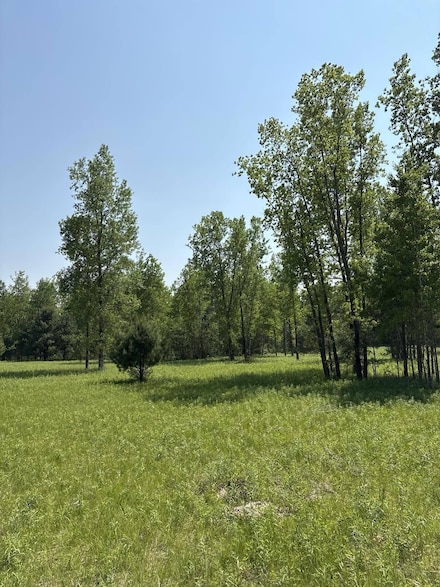 0 V L 200th Ave, Morley, MI 49336