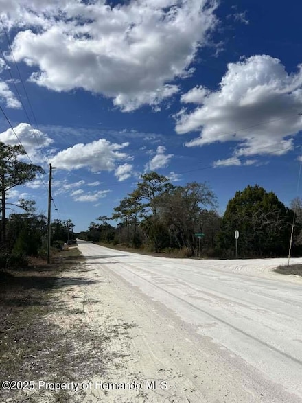 10180 Zebrafinch Ave, Weeki Wachee, FL 34614
