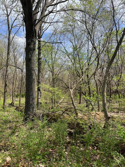 Lot 1 Lawrence 1185, Aurora, MO 65605
