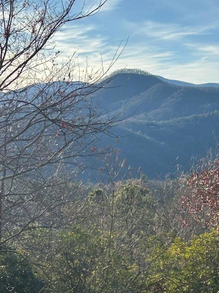 11 the Ridges Bill Bro, Hiawassee, GA 30546