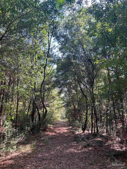 0000 Chinquapin Rd, Milton, FL 32570