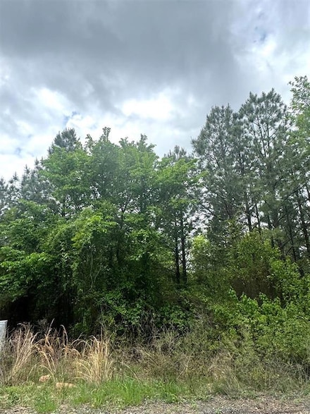 421 Lukfata Fork Trail, Hochatown, OK 74728