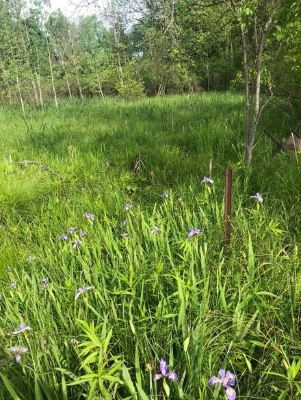 0 Anderson Rd, Cassopolis, MI 49031
