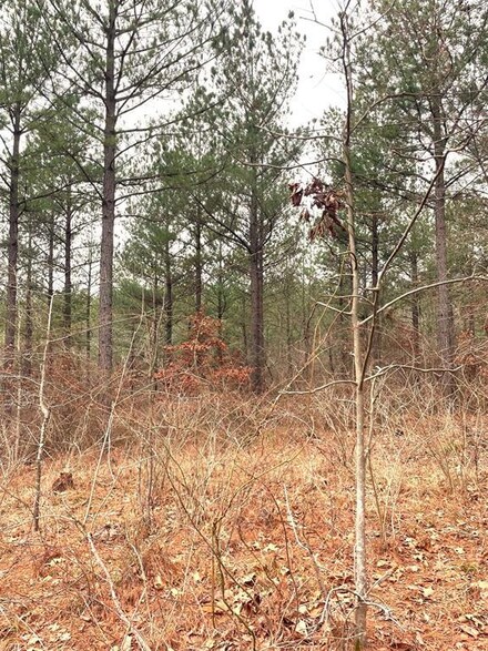 713 Timber Creek Trails South Xl, Broken Bow, OK 74728