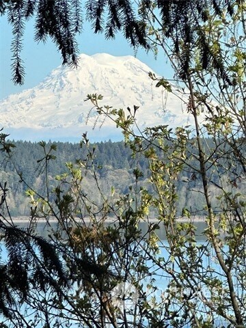 10911 Seaview Dr, Anderson Island, WA 98303