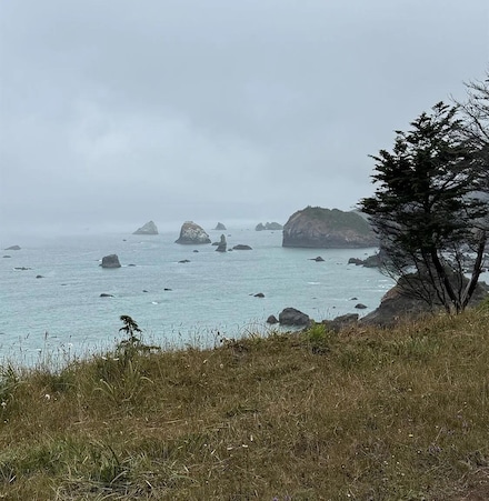 12 Muskrat Cir, Shelter Cove, CA 95589