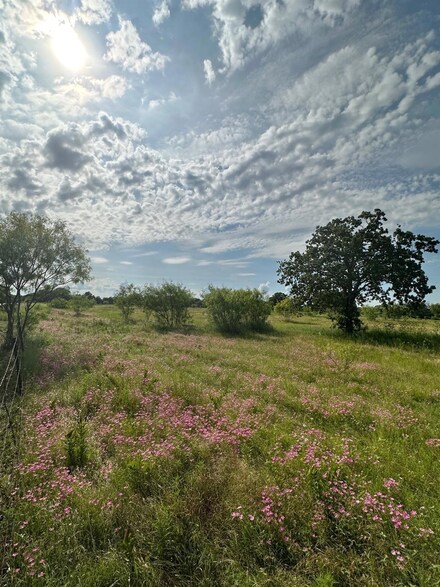 TBD Lot 8 Jess Hinton Rd, Kemp, TX 75143