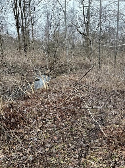 9630 State Route 26, Lee Center, NY 13363