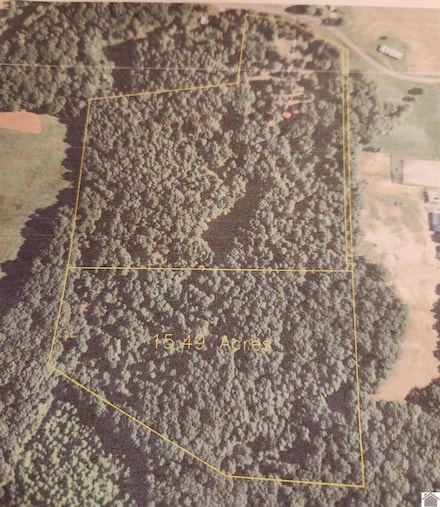 000 Rowlett Trail, Murray, KY 42071