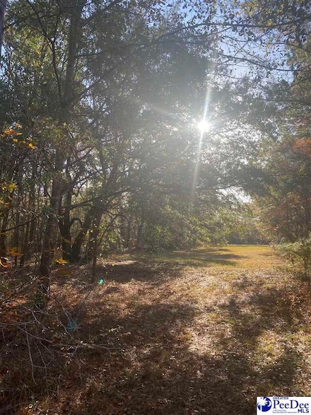 0 Henderson Rd, Varnville, SC 29944