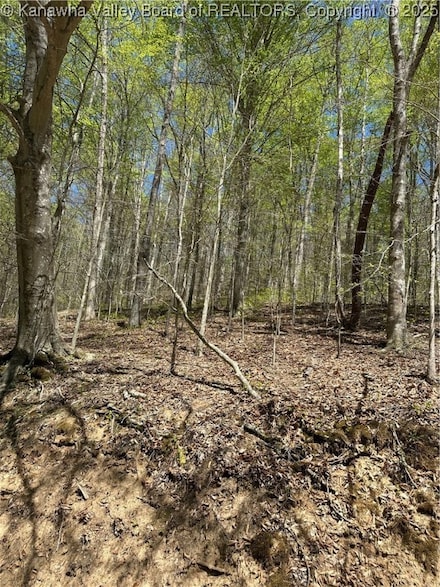 Lot #2 Sugartree Rd, Alkol, WV 25521