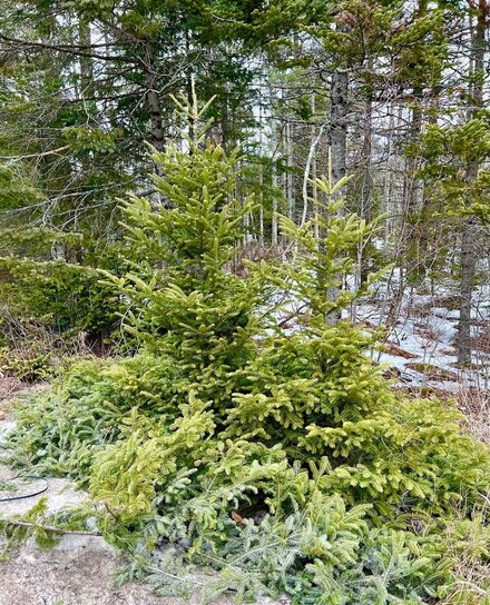 Lot 4 High St, Ellsworth, ME 04605
