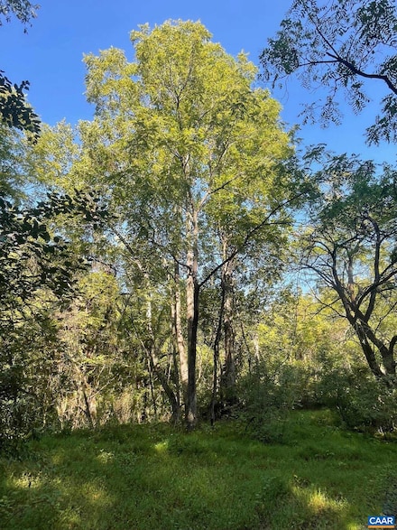 TBD Stony Point Pass, Shadwell, VA 22947