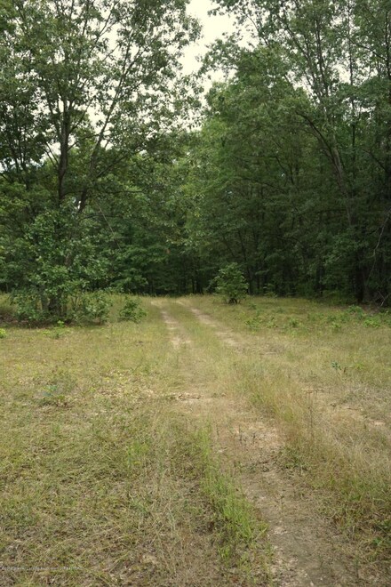 V/L da Ja Rd, Edmore, MI 48829