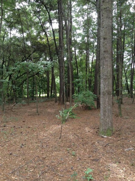 Lot 4 Percial Ross, Wadmalaw Island, SC 29487