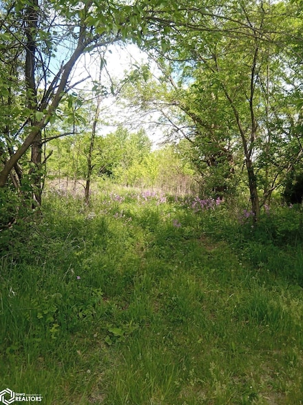 206 N 6th St, Mystic, IA 52574
