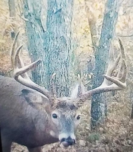 E22045 Zink Rd, Fairchild, WI 54741