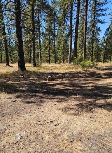 10 Parkside Ct, McCloud, CA 96057