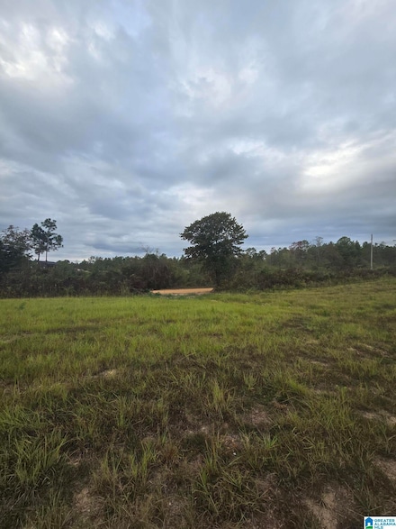 1089 County Road 351, Maplesville, AL 36750