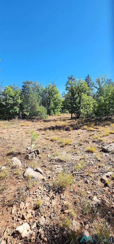 15 Tampico Springs Rd, McGaffey, NM 87316