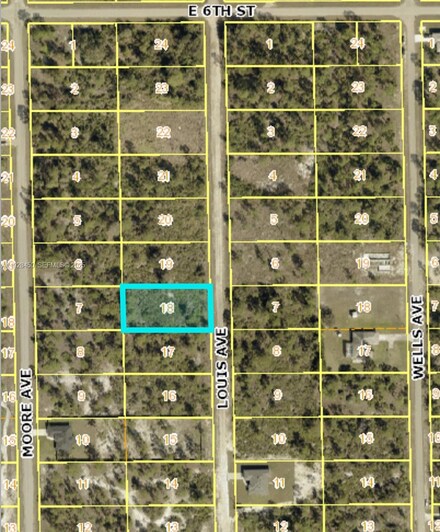 511 Louis Ave, Lehigh Acres, FL 33972