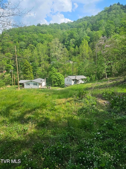 1097 Peter Pan Rd, Big Rock, VA 24603