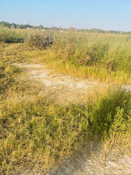 395 Sabinal Ln, Boling, TX 77420