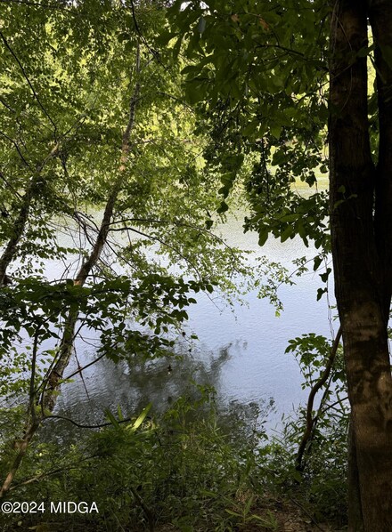 0 Rivermist Rd Unit 176698, Juliette, GA 31046