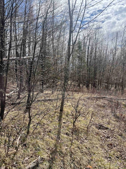 0 Nature Trail Rd, Townsend, WI 54175