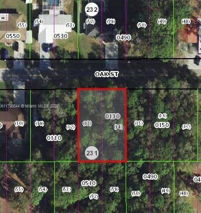 515 Oak St, Inverness, FL 34452
