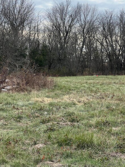 9503 N Farm Road 81, Walnut Grove, MO 65770