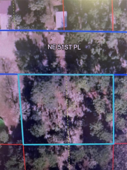 000 NE 51st Place, Williston, FL 32696
