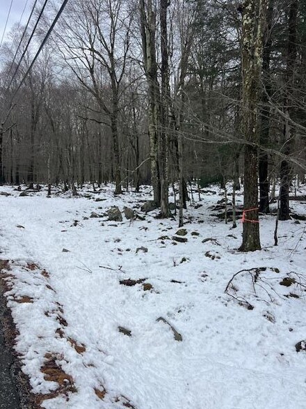 0 Cobblewood Rd, Pocono Springs, PA 18424