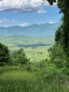 35 Chestnut Mountain Rd, Blairsville, GA 30512