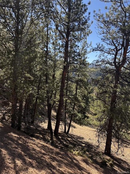 1440 Pikes Peak Dr, Divide, CO 80814