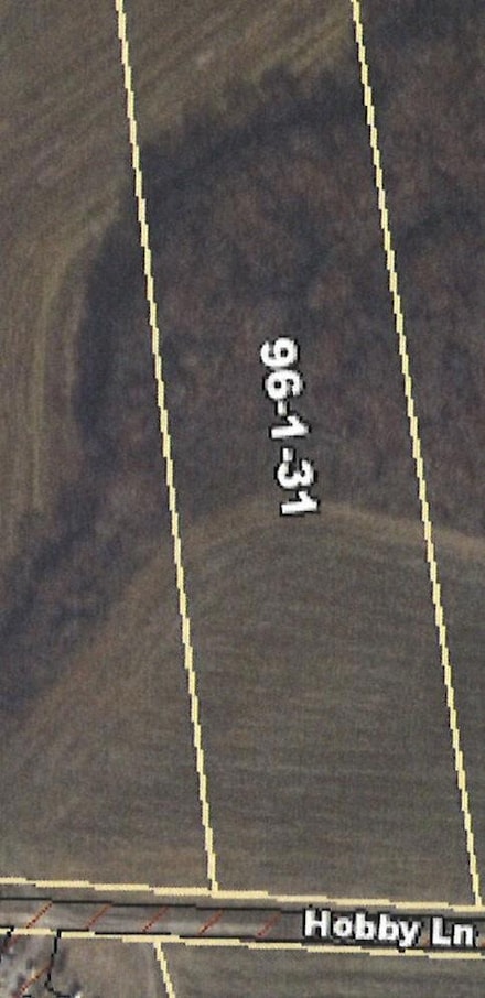 0 Hobby Ln, Kinards, SC 29355