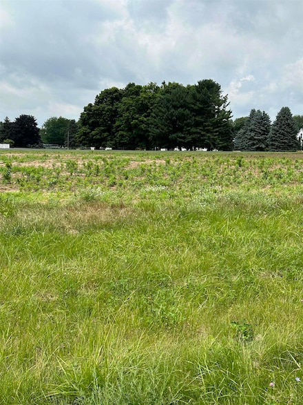 Parcel A Fieldstone Dr, Tecumseh, MI 49286
