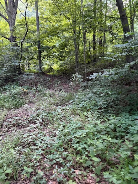 1604 Hoke Rd, Covington, VA 24426