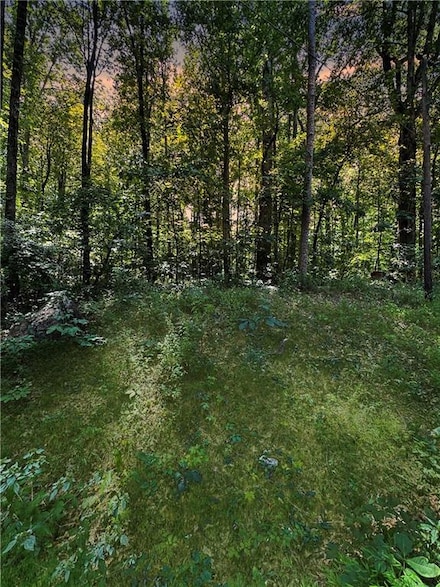 0 Paradise Lake Ave, Morrow, GA 30260