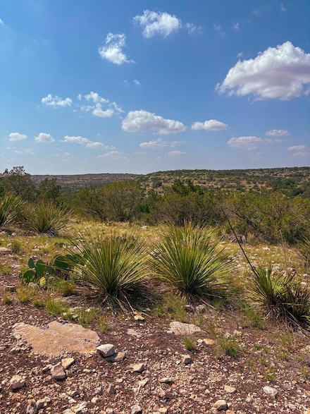Lot #48 County Rd 410, Comstock, TX 78837