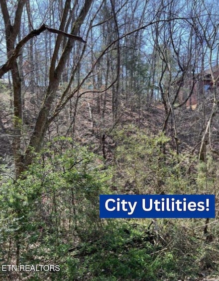 3210 Pine Way, Pigeon Forge, TN 37863