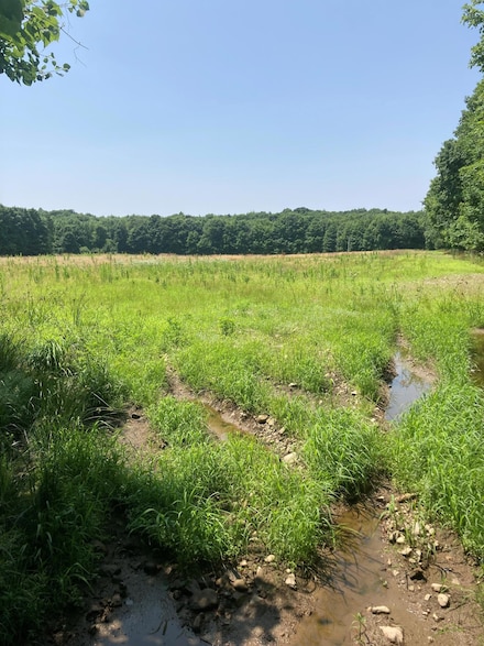0 Heath Hill Rd, Dickinson Center, NY 12930