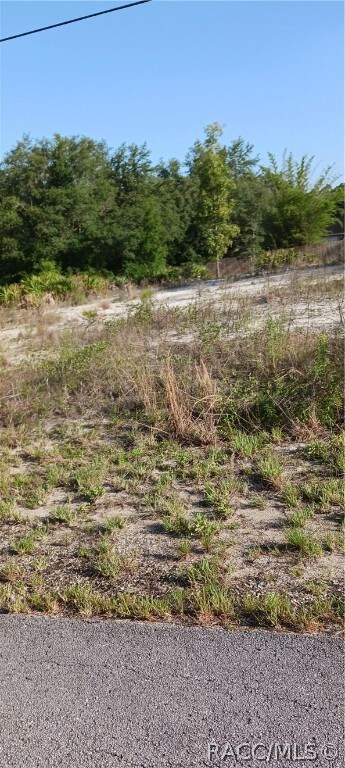 TDB SW South Lakes Ct, Dunnellon, FL 34431
