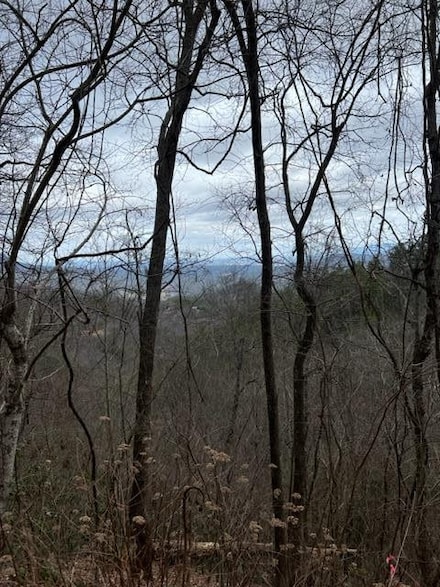 Lot 3 Overholt Trail, Sevierville, TN 37862