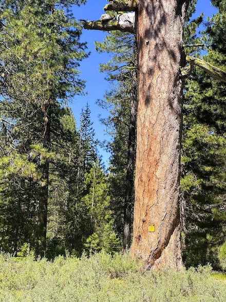 0 Oregon 62, Fort Klamath, OR