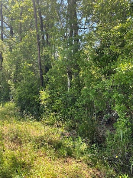 0 Faller Rd Unit 2485466, Tickfaw, LA 70466