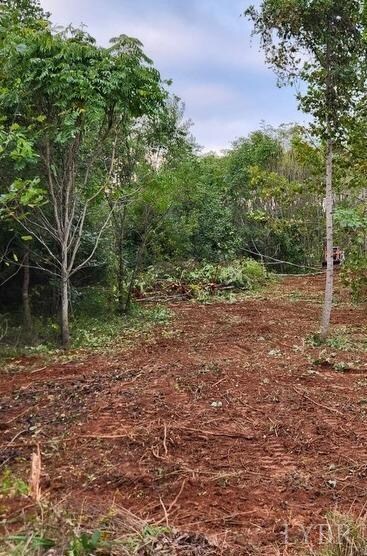 0 Lot 73 Cornfield Ln Unit 353058, Appomattox, VA 24522