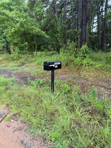 833 County Road 3639, Big Sandy, TX 75755